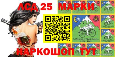 гашик Можга