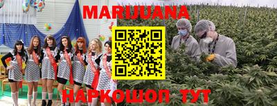 гашик Можга